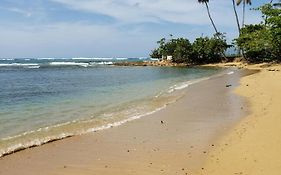 Beach Villas Dorado Puerto Rico